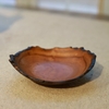 BÁT LŨA BO0341