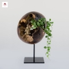 Tiểu Cảnh Thiền MN0003