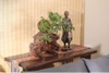 TIỂU CẢNH THIỀN MN0219