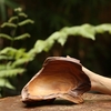 BÁT LŨA NGỌC AM BAT18