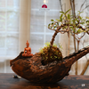 TIỂU CẢNH THIỀN TCAN19
