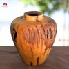 BÌNH LŨA VA0493