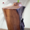 BÌNH LŨA VA0547