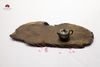 ĐẾ LÓT BÌNH DL0001