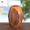 BÌNH LŨA VA0487