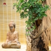 Tiểu Cảnh Thiền Vàng Tâm  MN0014