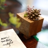 TIỂU CẢNH THIỀN MN0823