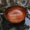BÁT LŨA BO0266