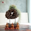 Tiểu Cảnh Thiền MN0245