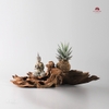 Tiểu Cảnh Thiền MN0118