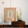 TIỂU CẢNH THIỀN MN0518