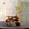 TIỂU CẢNH THIỀN MN0778