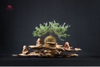 Tiểu Cảnh Thiền MN0082