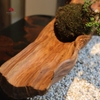 TIỂU CẢNH THIỀN MN0846
