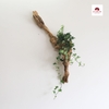 Tiểu cảnh treo tường MN0001