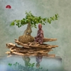 TIỂU CẢNH THIỀN MN0224