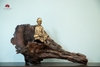 TIỂU CẢNH THIỀN MN0242