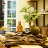 TIỂU CẢNH THIỀN MN0225