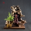 Tiểu Cảnh Thiền MN0052
