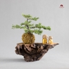 TIỂU CẢNH THIỀN MN0220