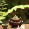 THUYỀN TRÀ TT0061