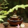 THUYỀN TRÀ TT0062