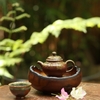 THUYỀN TRÀ TT0063