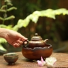 THUYỀN TRÀ TT0064