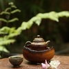 THUYỀN TRÀ TT0066