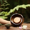 THUYỀN TRÀ TT0066