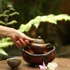 THUYỀN TRÀ TT0067