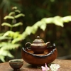 THUYỀN TRÀ TT0074