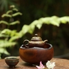 THUYỀN TRÀ TT0077