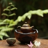 THUYỀN TRÀ TT0079