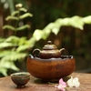 THUYỀN TRÀ TT0081