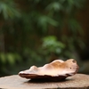 KHAY LŨA NGỌC AM KHAY52