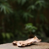 KHAY LŨA NGỌC AM-KHAY56