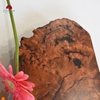 KHAY LŨA NU LIM VÀNG KHAY18