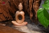 TIỂU CẢNH THIỀN LŨA VÀNG TÂM TCAN04