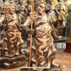 tuong-quan-van-truong-dong-do-phot-ni