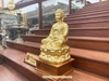 tuong-phat-a-di-da-dat-vang-9999-cao-42cm