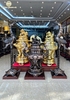 dinh-tai-may-phot-ni-cao-1m30