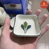Khay gia vị vuông men kem vẽ ngò gai xanh