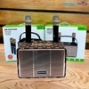 loa-bluetooth-karaoke-boomsbass-m4201-sang-trong-bass-cang-2-micro-khong-day-con