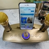 loa-karaoke-sd306-bass-lon-ta-ng-kem-2-micro-khong-day