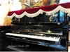 Piano Đức cổ tiếng hay