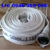lang-phun-chua-chay-d50-d65-tai-ha-noi-bao-hanh-2-nam