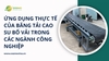 Ứng dụng thực tế của băng tải cao su bố vải trong các ngành công nghiệp