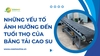 Những yếu tố ảnh hưởng đến tuổi thọ của băng tải cao su