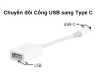 CỔNG CHUYỂN ĐỔI ĐẦU USB SANG TYPE C